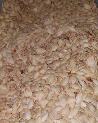 تخمه کدو درشت فله