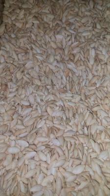 تخمه کدو خویی فله